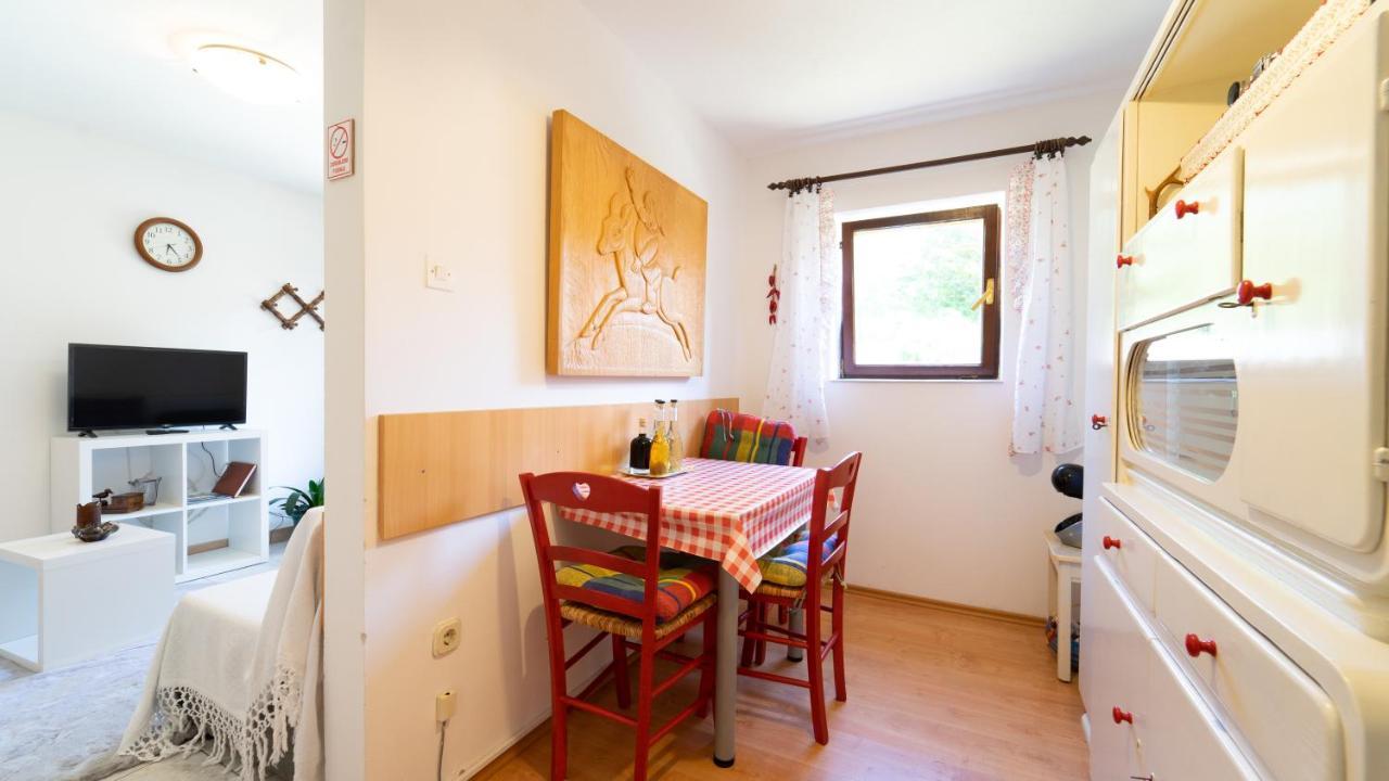 Karolina Appartement Fužine Buitenkant foto